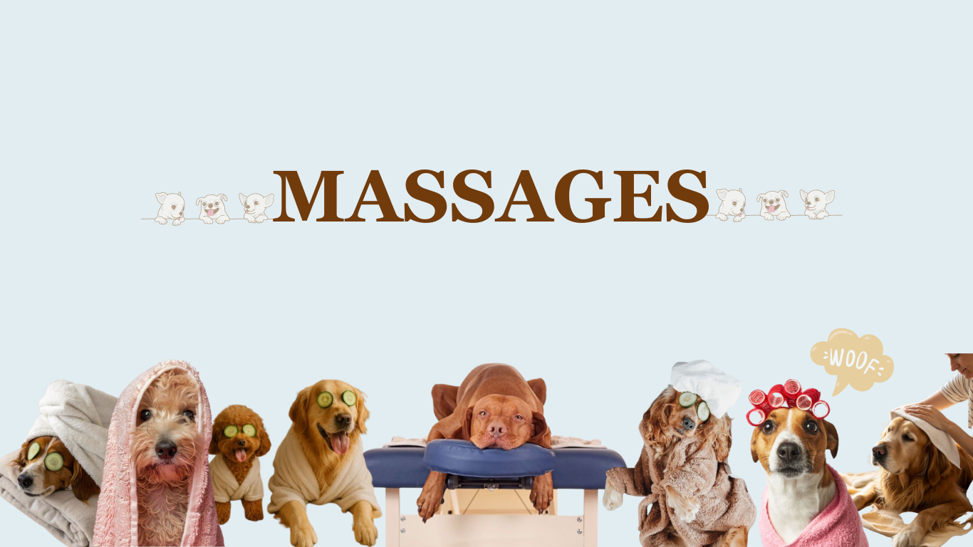 pet massage