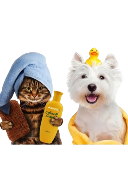 pet grooming near me