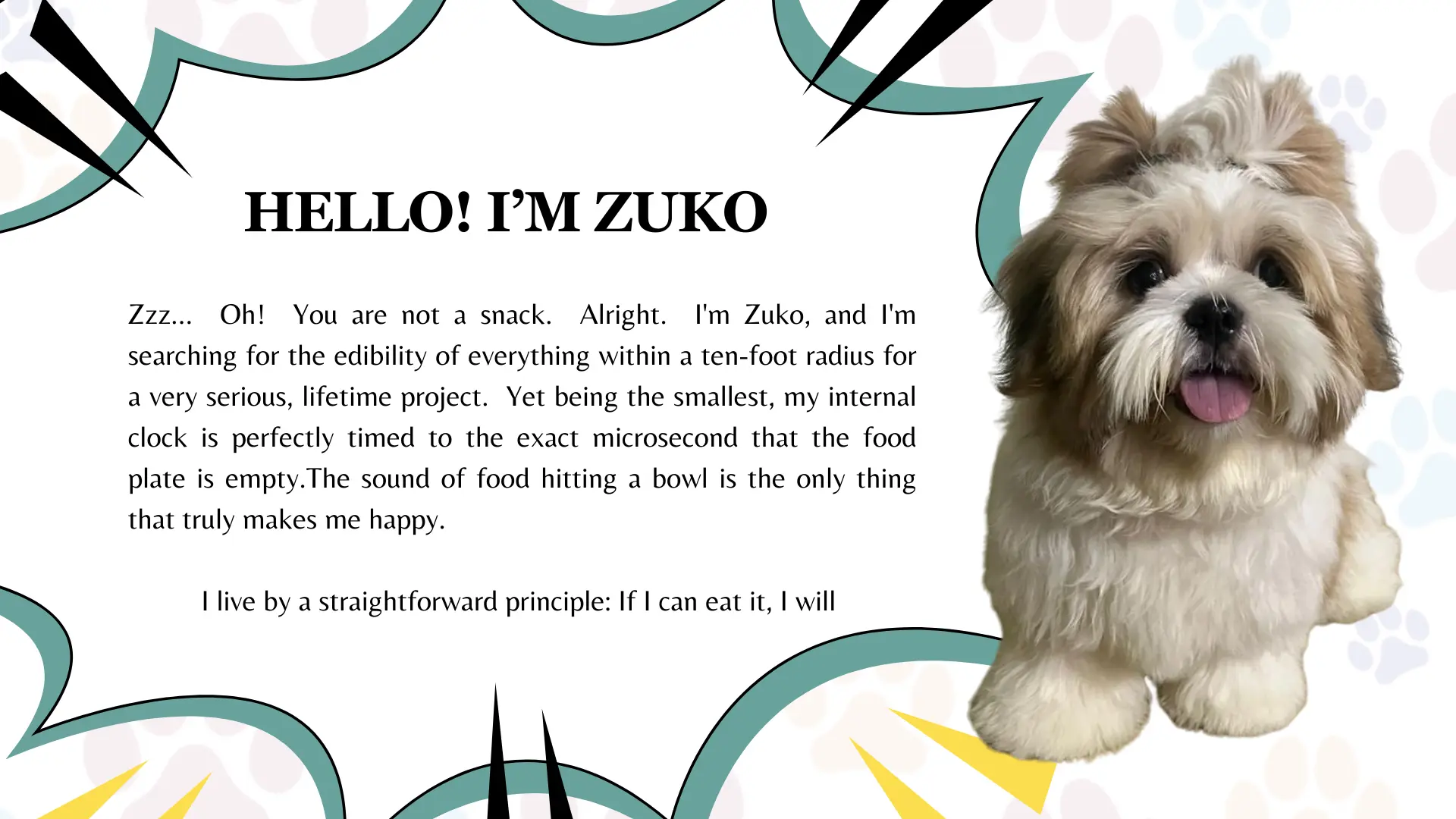 pet grooming services